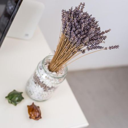 Euphoria Luxury Apartment Faliraki Buitenkant foto